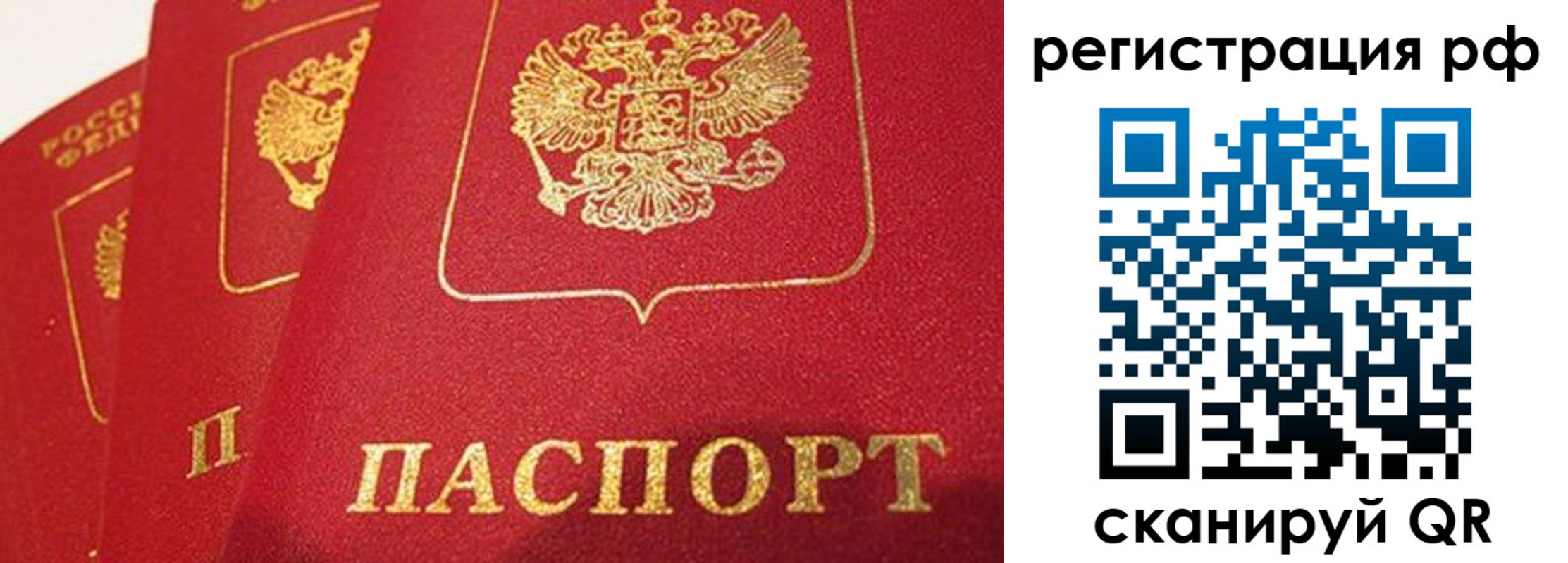 прописка поиск в Рудне